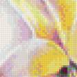 Предпросмотр схемы вышивки «лилии» (№1783931)