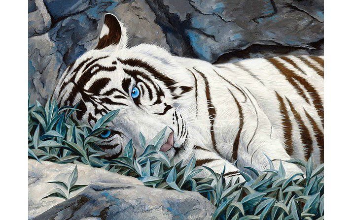 Белый тигр - звери, тигры, животные - оригинал