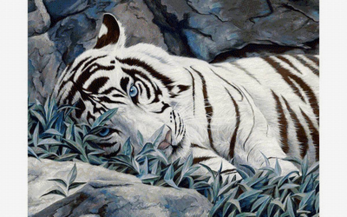 Белый тигр - тигры, животные, звери - предпросмотр