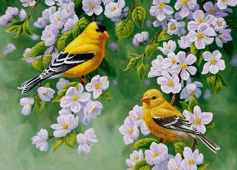 Серия Птицы - природа, птицы - оригинал
