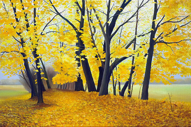 Осенний лес - желтое, осень, лес, природа - оригинал