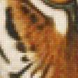 Предпросмотр схемы вышивки «Тигры» (№1786368)