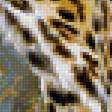 Предпросмотр схемы вышивки «Леопарды» (№1786369)