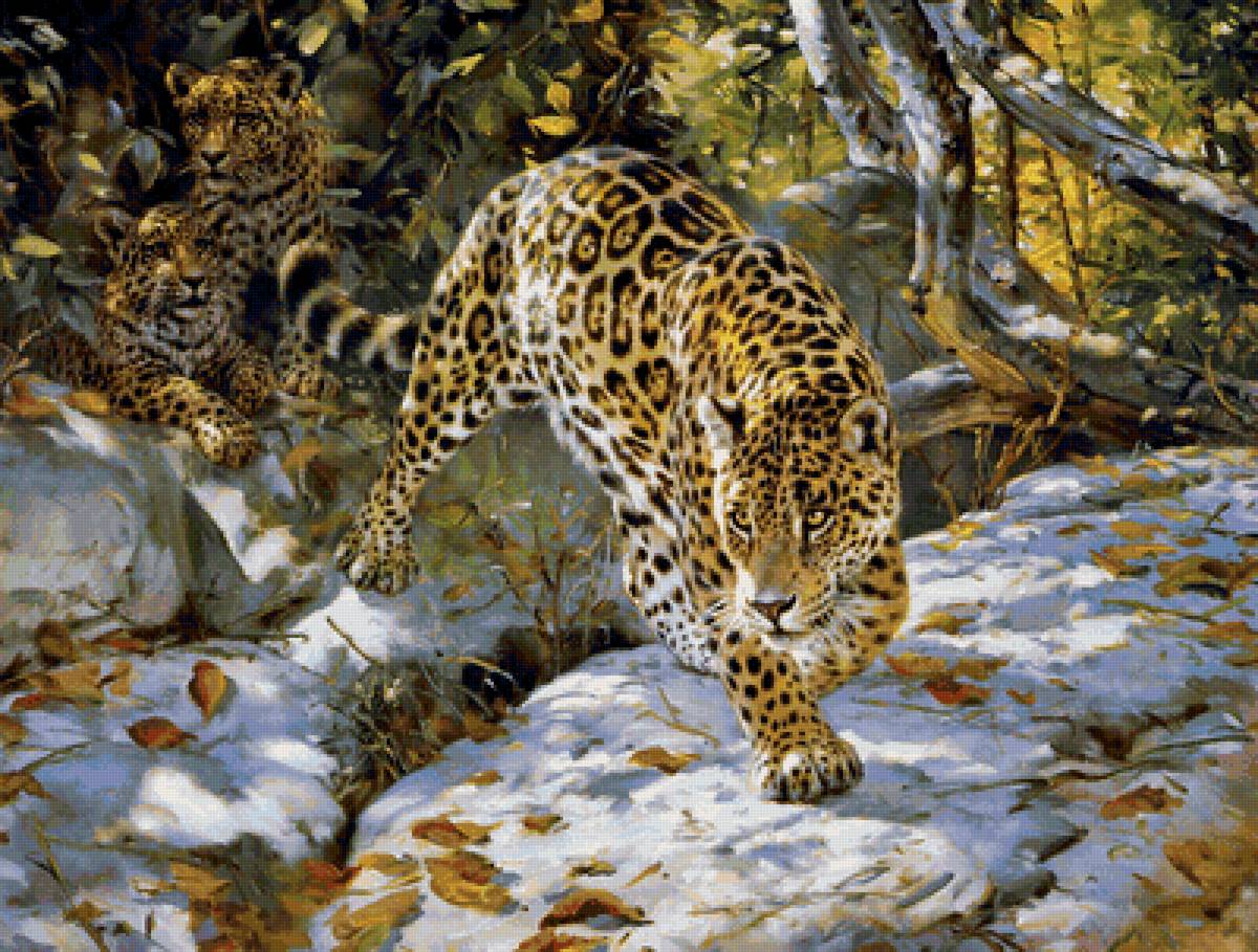 Леопарды - животные, звери - предпросмотр