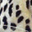 Предпросмотр схемы вышивки «леопард» (№1787559)
