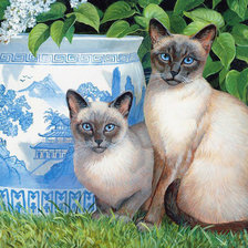 Оригинал схемы вышивки «Сиамские кошки» (№1789469)