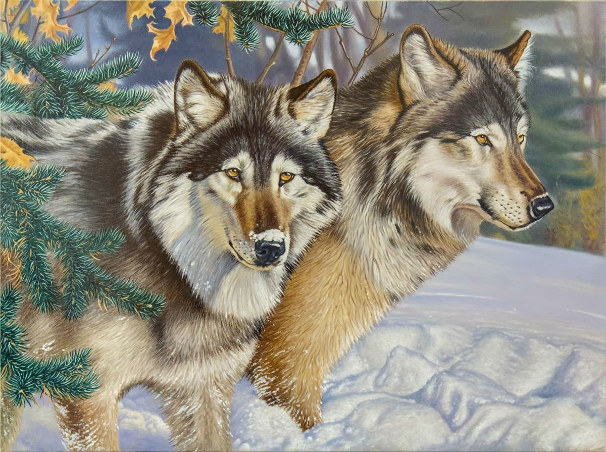 Пара волков - звери, животные, волки, зима - оригинал
