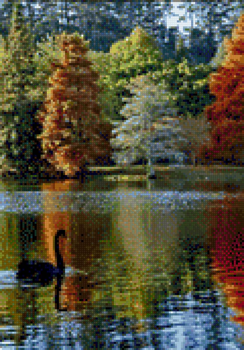 Черная лебедь - деревья, озеро, небе, отражение, лебедь - предпросмотр