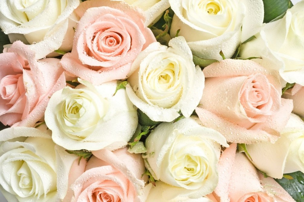 цветы букет - цветы розы букет - оригинал