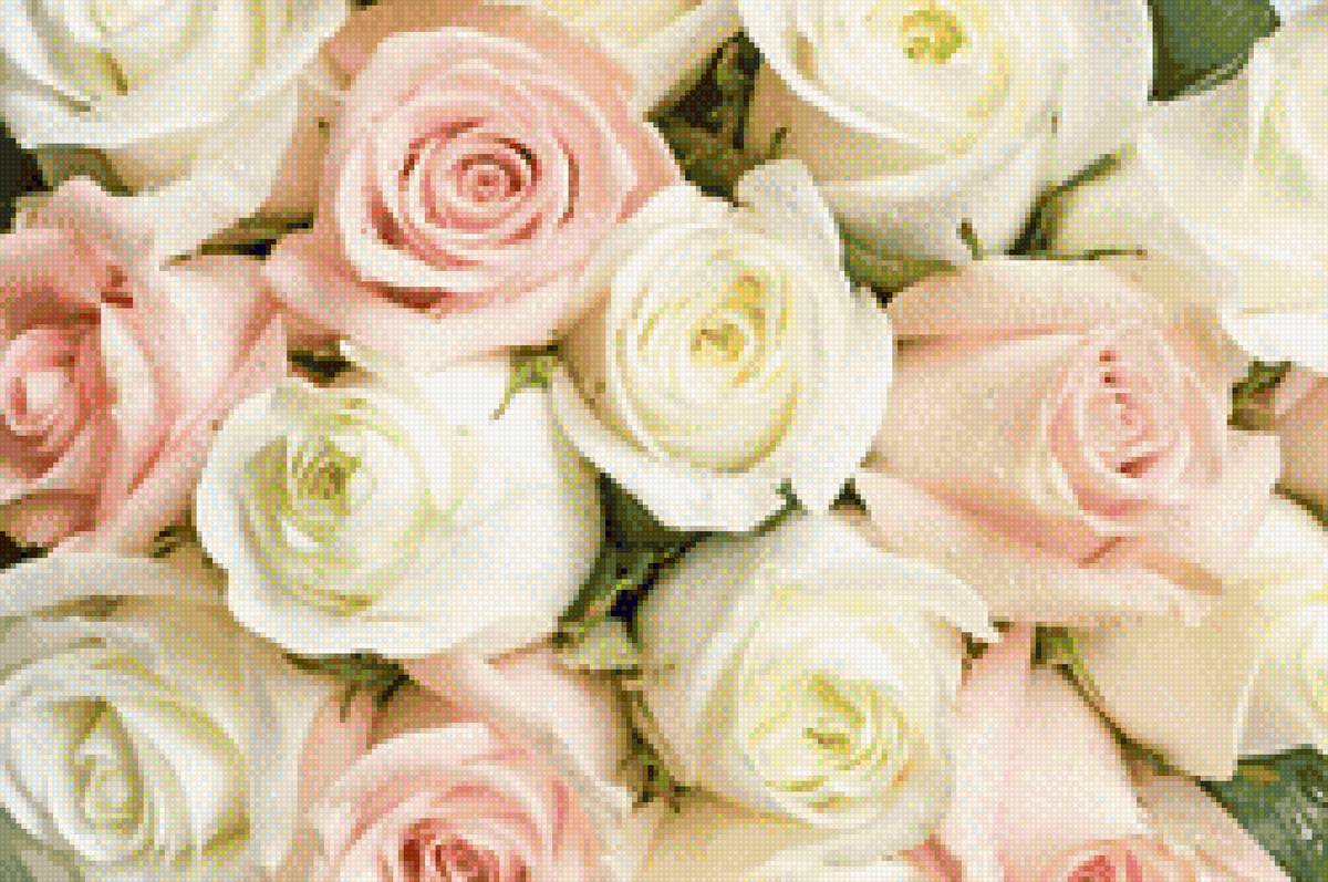 цветы букет - цветы розы букет - предпросмотр