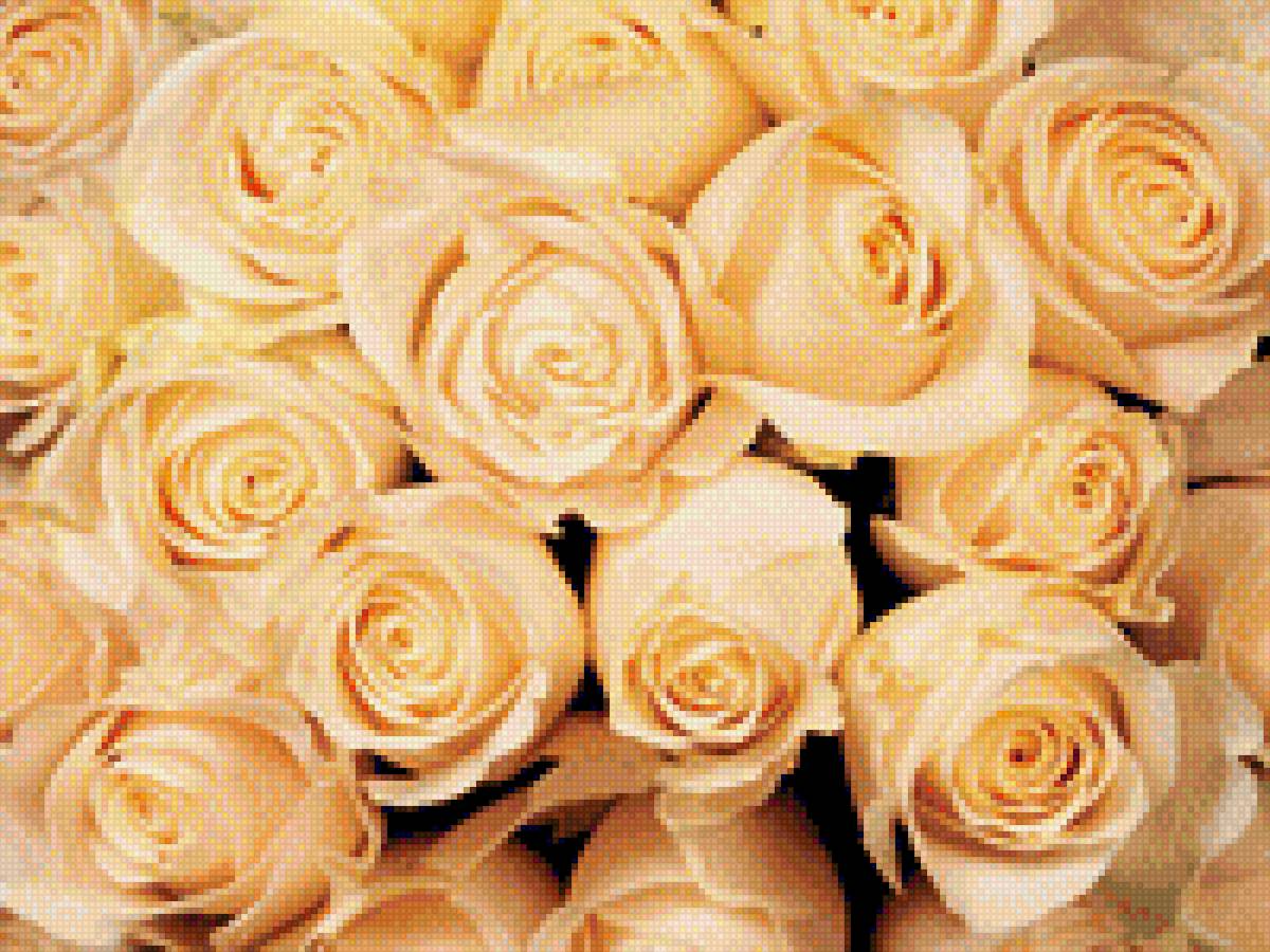 цветы букет розы - цветы букет розы - предпросмотр