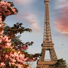 Оригинал схемы вышивки «Париж и цветущее дерево» (№1796278)