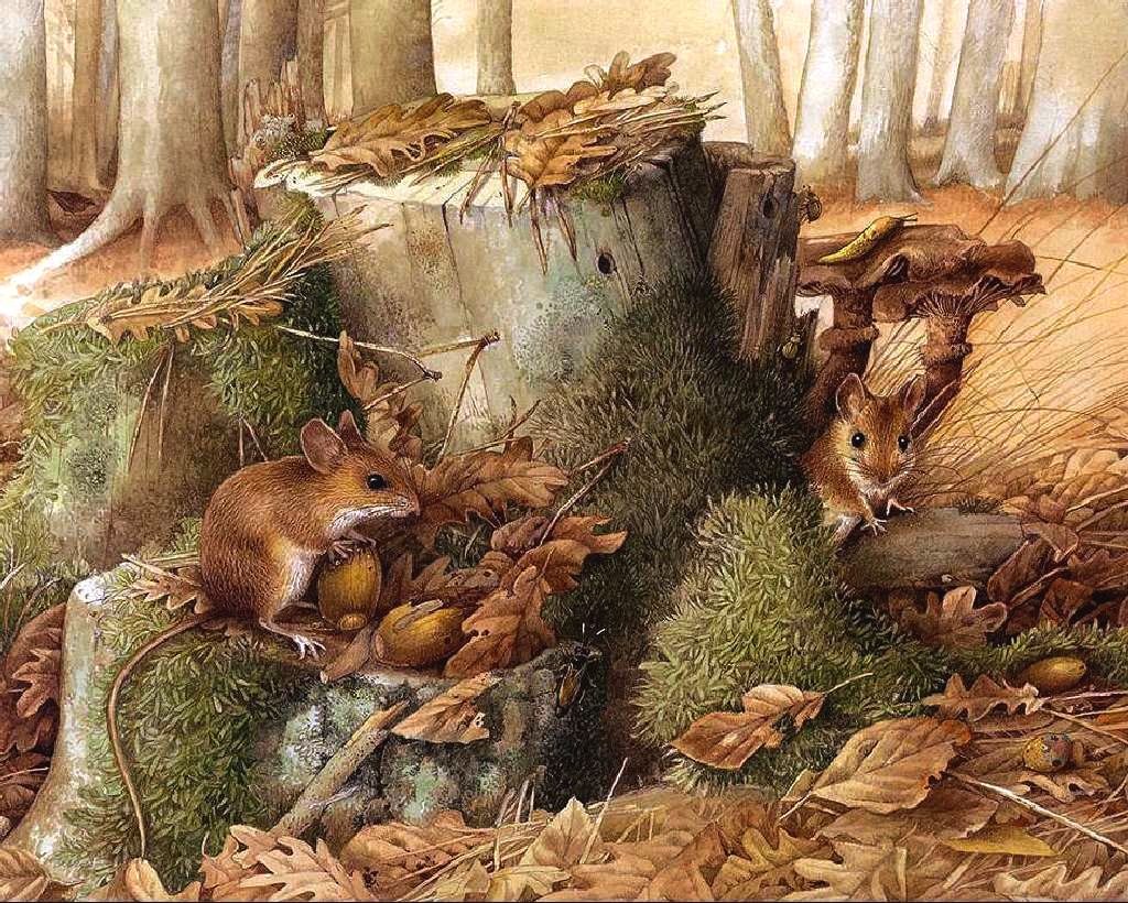 По картине Марджолен Бастин "Октябрь" - мышки, осень, пень, лес - оригинал
