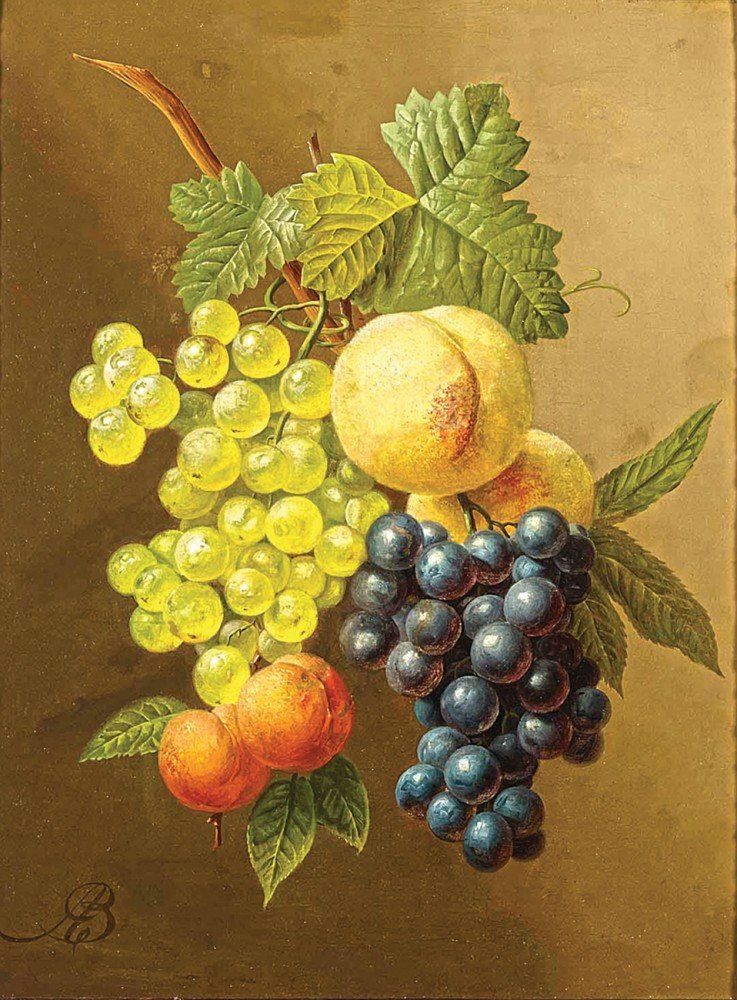 Абрикосы и виноград - виноград, плоды, абрикосы - оригинал
