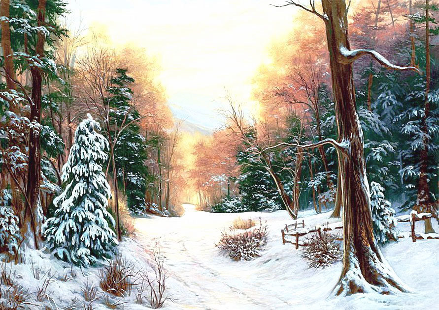 Зимний лес - природа, снег, пейзаж зима, лес - оригинал