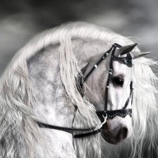 лошадка красавца