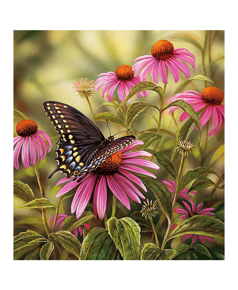 Серия "Бабочки". - цветы, бабочки, флора - оригинал