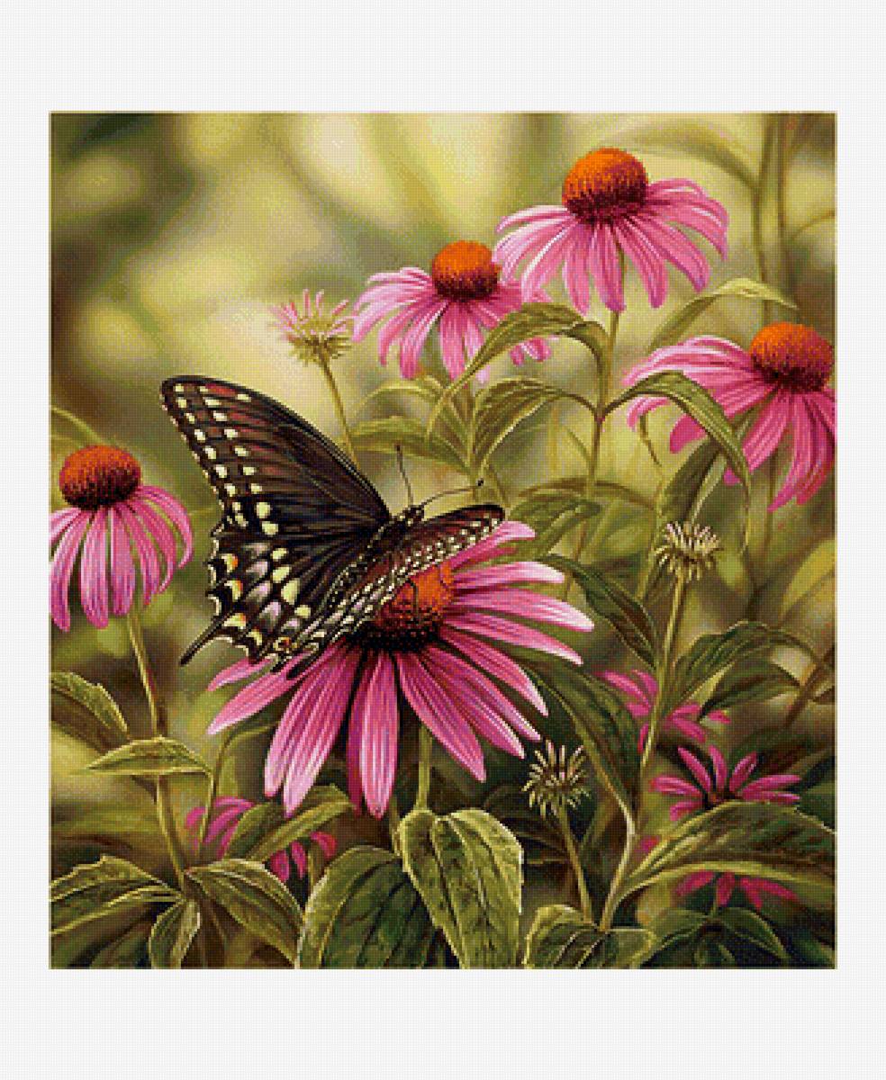 Серия "Бабочки". - цветы, бабочки, флора - предпросмотр