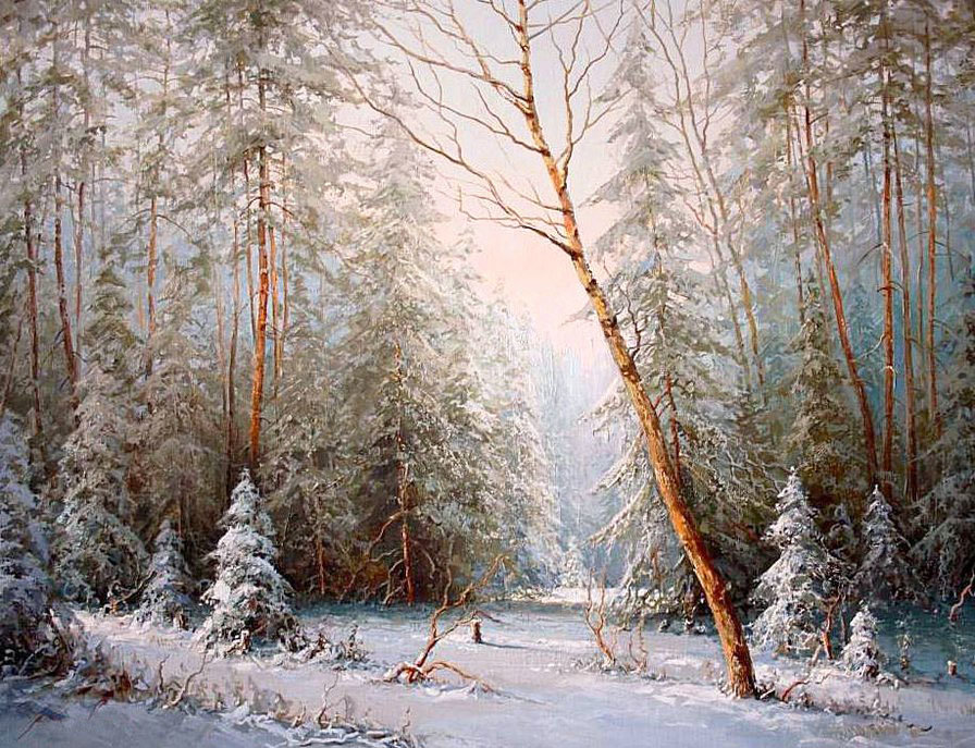 Зимний лес - снег, лес, природа, пейзаж зима - оригинал
