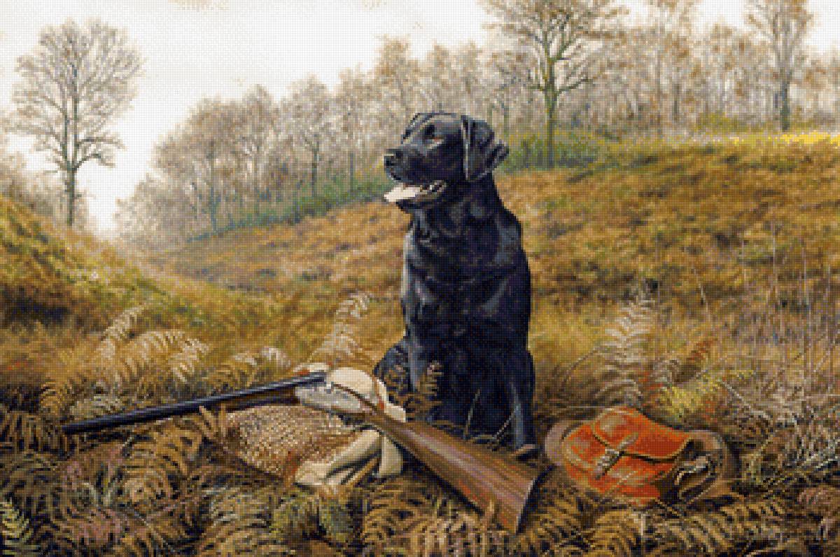 охота осенняя - собака, ружье, осень - предпросмотр