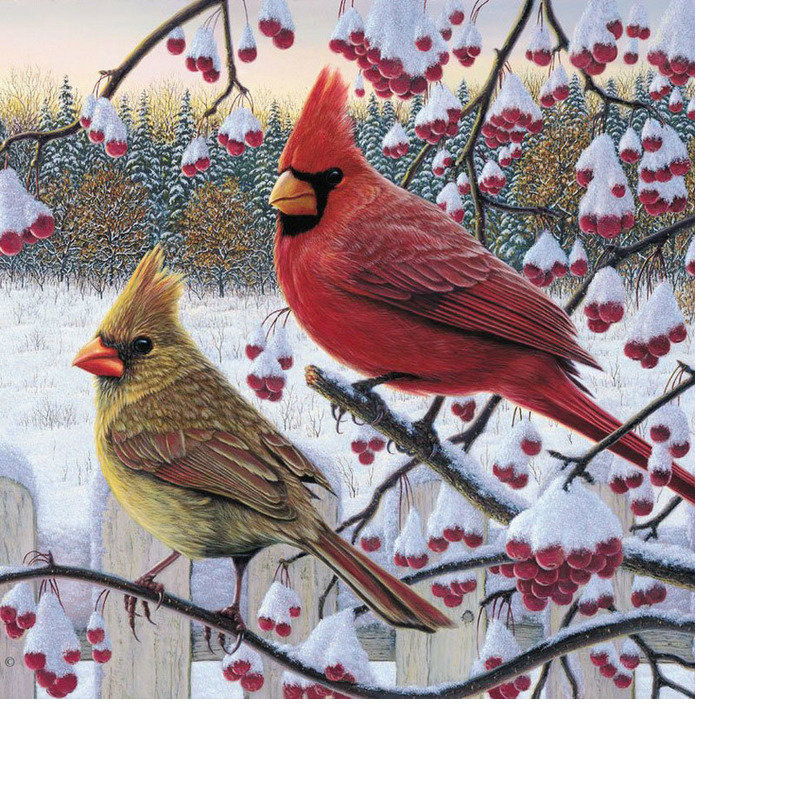 Птицы на ветке - снег, ягоды, птицы, зима - оригинал
