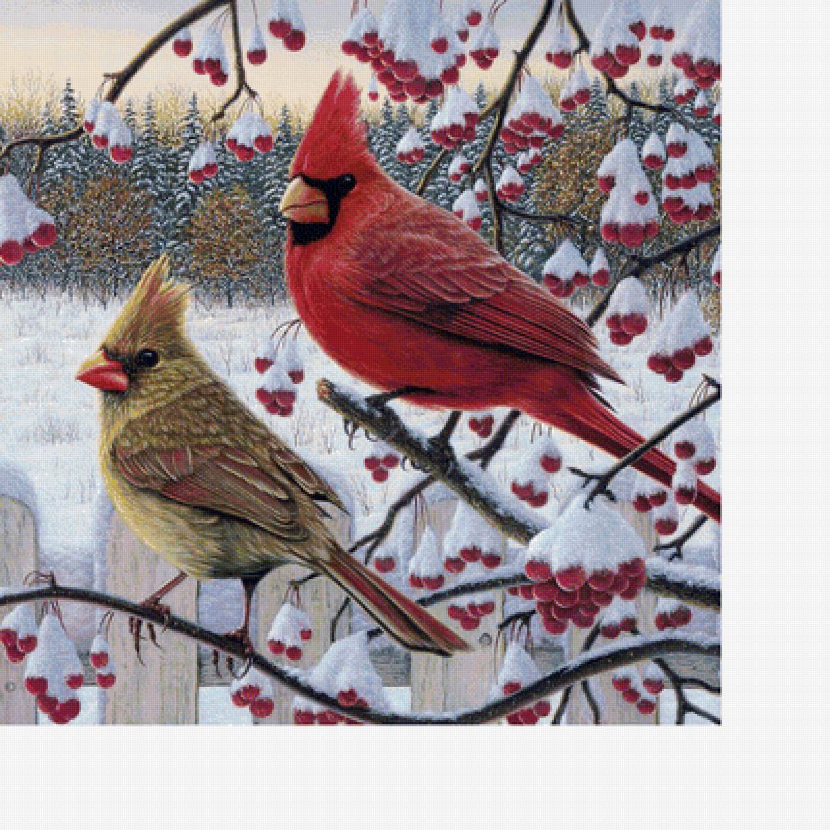 Птицы на ветке - снег, ягоды, птицы, зима - предпросмотр