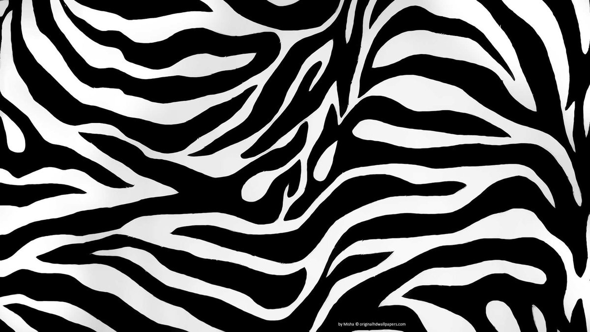 Зебра - зебра, полосы, абстракция - оригинал