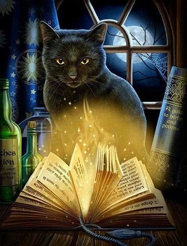 Магия ночи - кот, книги, книга, магия, ночь - оригинал