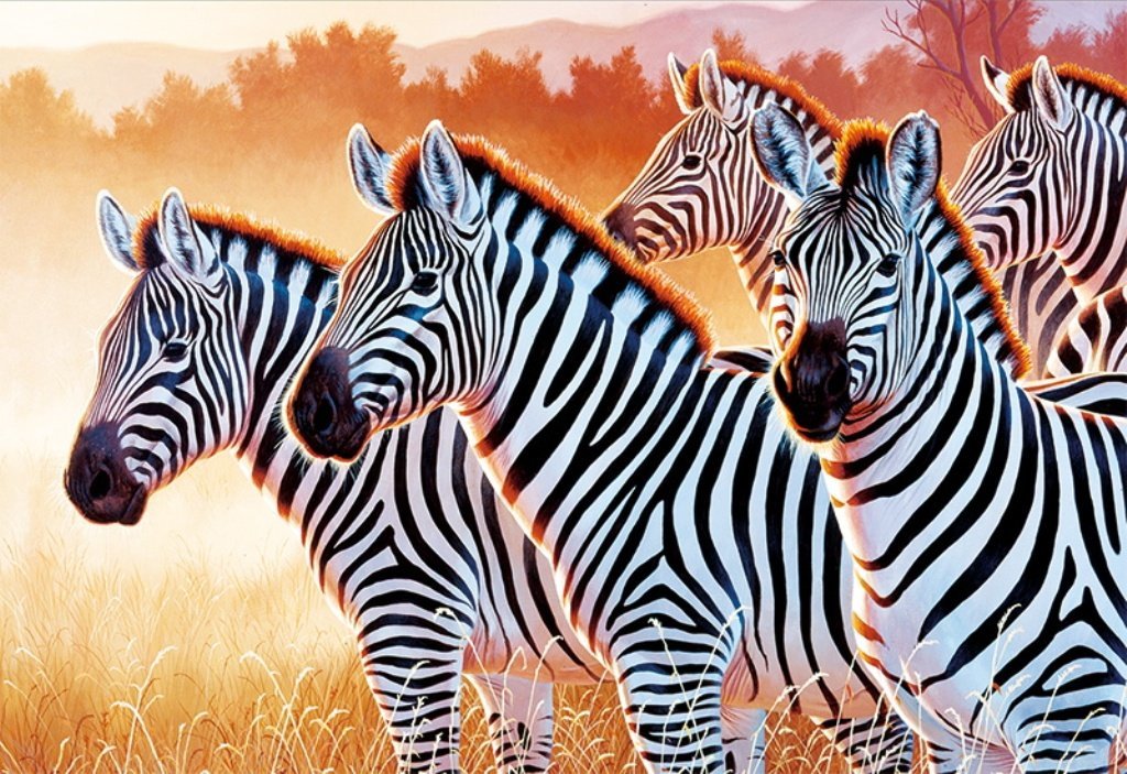 Серия "Зебры" - животные, зебры - оригинал