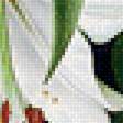Предпросмотр схемы вышивки «Белоснежные лилии» (№1802547)