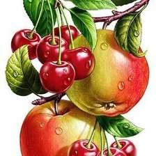 Схема вышивки «яблоки и черешня»