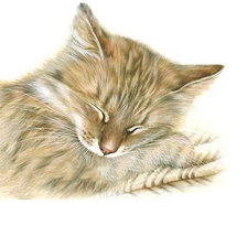 Оригинал схемы вышивки «Серия "Коты".» (№1805533)