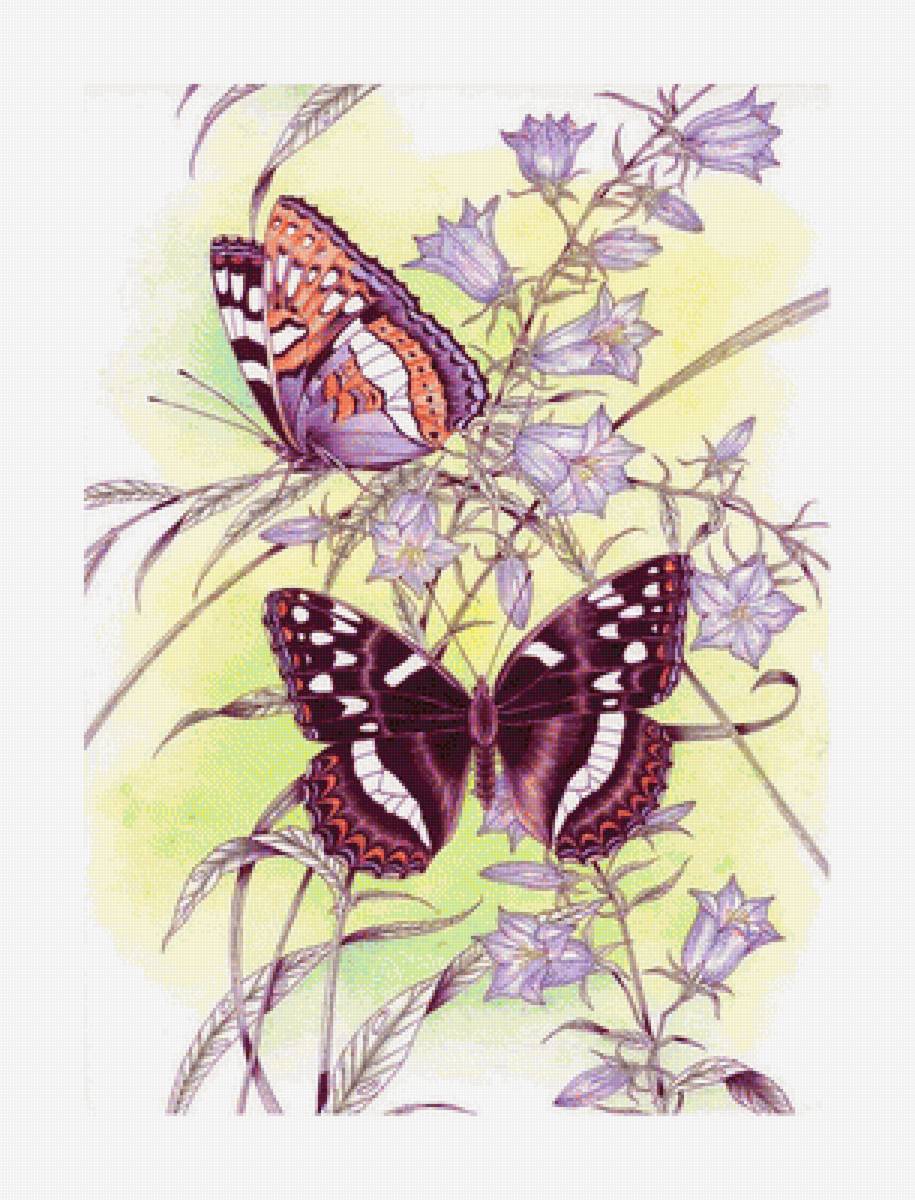 Серия "Бабочки". - бабочки, насекомые - предпросмотр