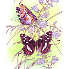 Оригинал схемы вышивки «Серия "Бабочки".» (№1806435)