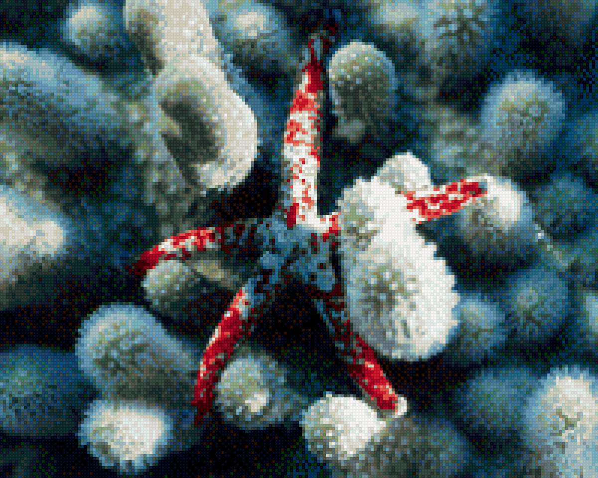 морская звезда - океан, природа, море - предпросмотр
