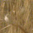 Предпросмотр схемы вышивки «Trockenes Gras» (№1807931)