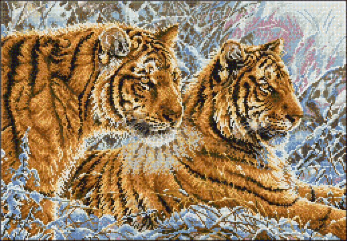 Тигры - зима, природа, тигры, дикая природа, животные - предпросмотр
