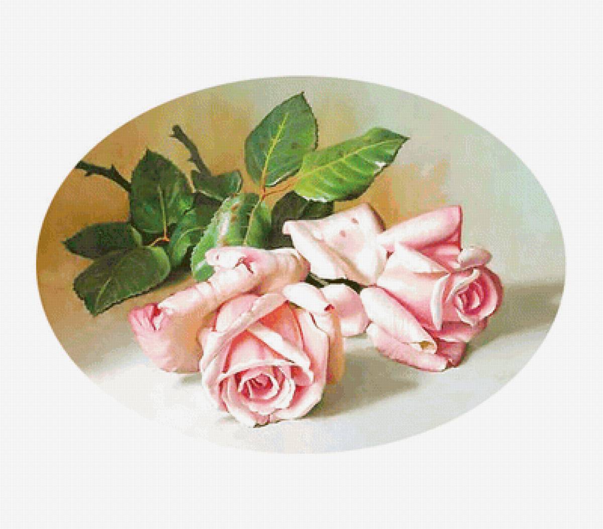 Серия "Розы". - розы, флора, цветы - предпросмотр