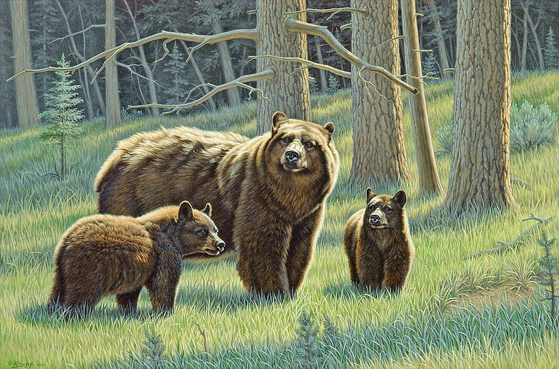 Прогулка - лес, медведь, природа, семья, животные - оригинал