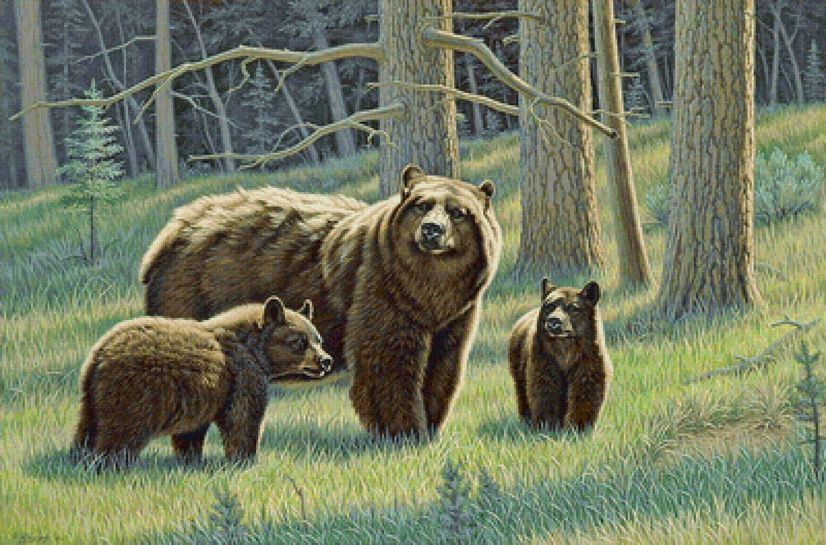 Прогулка - медведь, лес, семья, животные, природа - предпросмотр