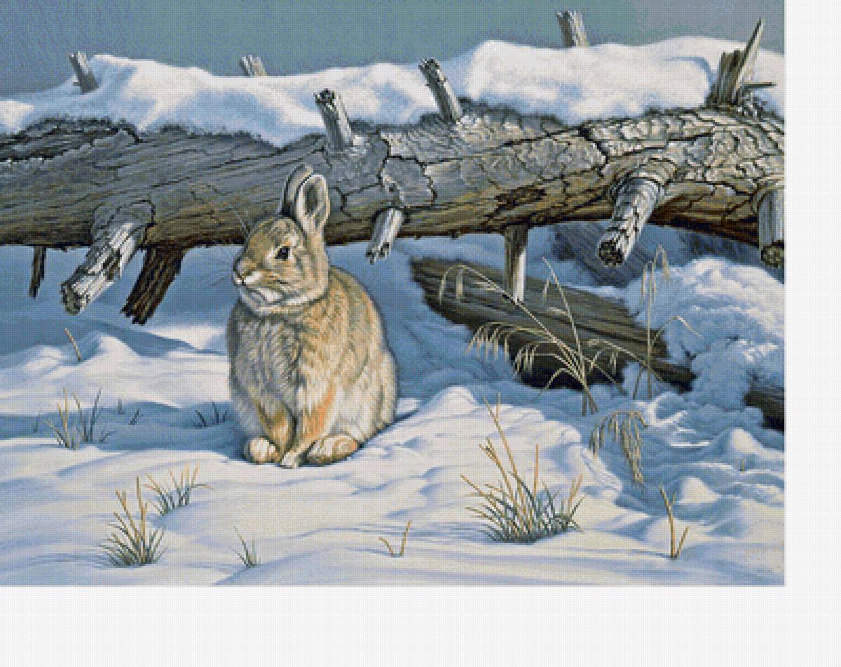Зайчик зимой - звери, заяц, зима., снег, животные - предпросмотр