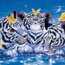 Оригинал схемы вышивки «Белые тигры и бабочки» (№1816292)
