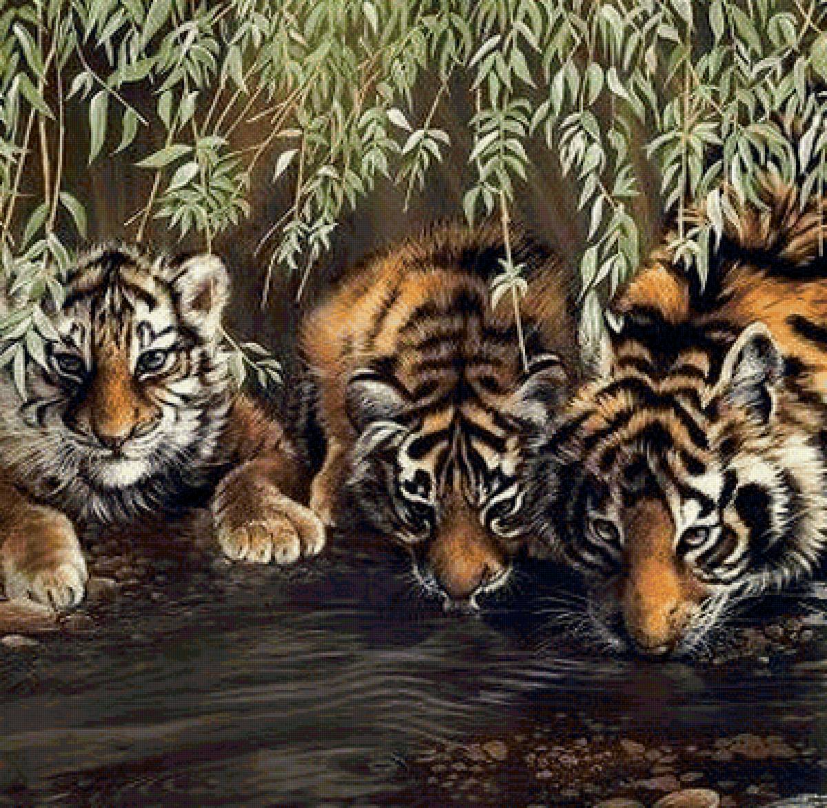 водопой - кошки, тигры - предпросмотр