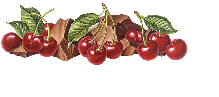 Вишня в шоколаде 2 - уменьшенный вариант - вишня, ягоды, шоколад, фрукты - оригинал