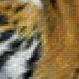 Предпросмотр схемы вышивки «Тигр» (№1818707)