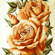 Оригинал схемы вышивки «Серия "Розы".» (№1822074)