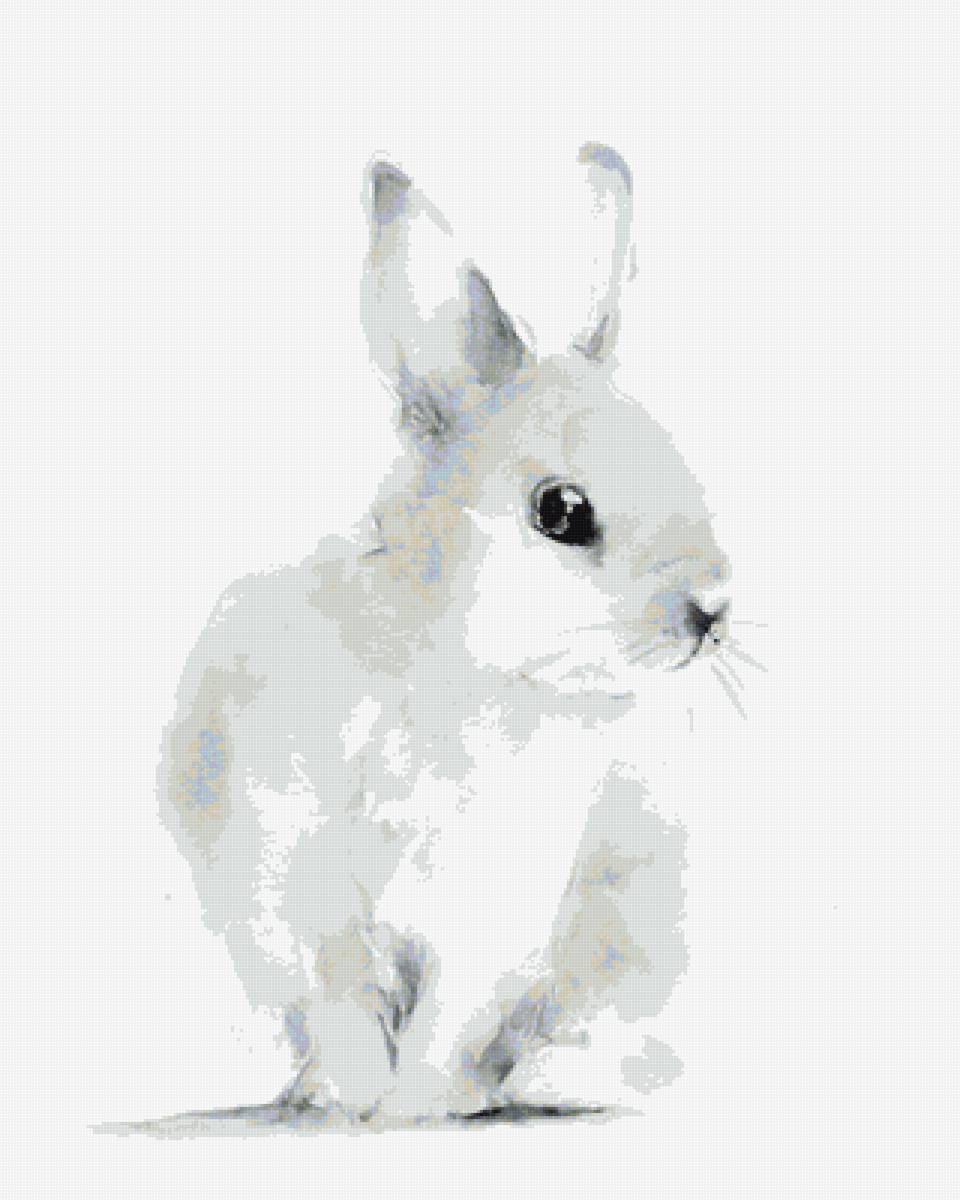 Белый заяц - арт, акварель, животные - предпросмотр