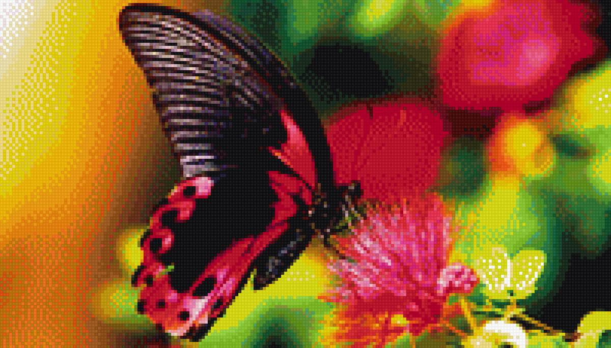 Бабочка  на  цветке - природа, цветок, бабочка - предпросмотр