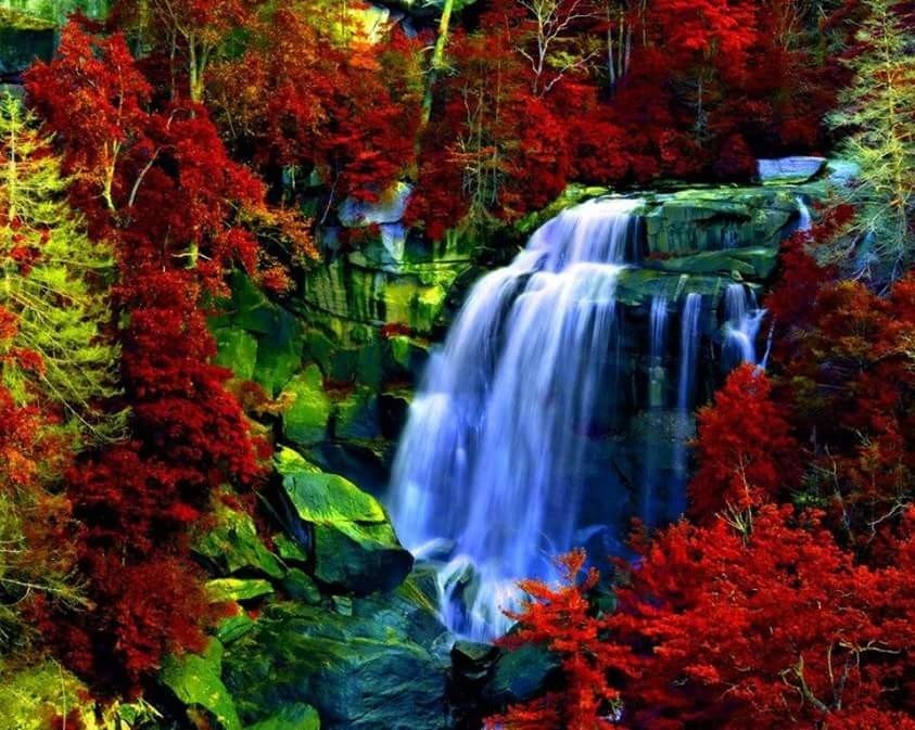 Волшебная природа - природа, цветы, красиво, водопад, камни - оригинал