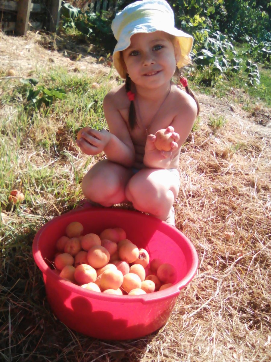 Ксюша с абрикосами - фрукты, девочка, природа, лето - оригинал